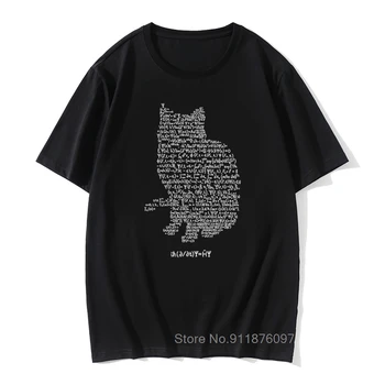 Maxwell Katė Kvantinės Mechanikos Lygtis Teorijos T Shirts Fizikos ir Matematikos Matematikos Funny Cat Marškinėlius Negabaritinių Vyrų Europa Dydis