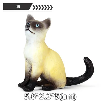 Naujas Naminių Gyvūnų Cute Kačių Modelis Veiksmų Skaičius, PVC Veiksmų Skaičiai Manga Matmenys Kolekcijos Lėlės Modelio žaislas vaikams, Dovana