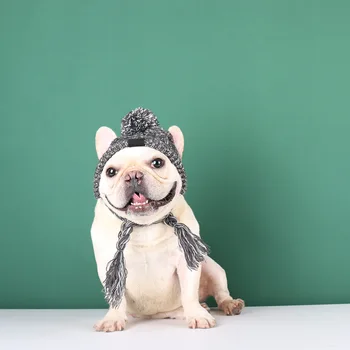 Pet Skrybėlę Vilnonių Siūlų Galite Reguliuoti Dydį, Išlaikyti Šiltas, Šunų, Kačių Skrybėlės Šiltą Rudenį ir Žiemą